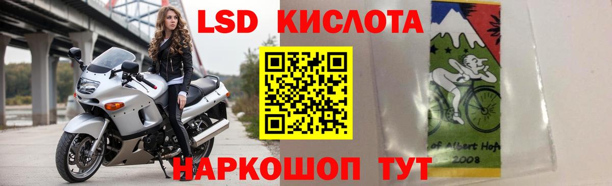 Альфа ПВП Тамбов