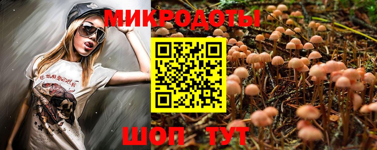 Галлюциногенные грибы MAGIC MUSHROOMS  Галлюциногенные грибы Psilocybe  Тамбов  Вход с VPN 